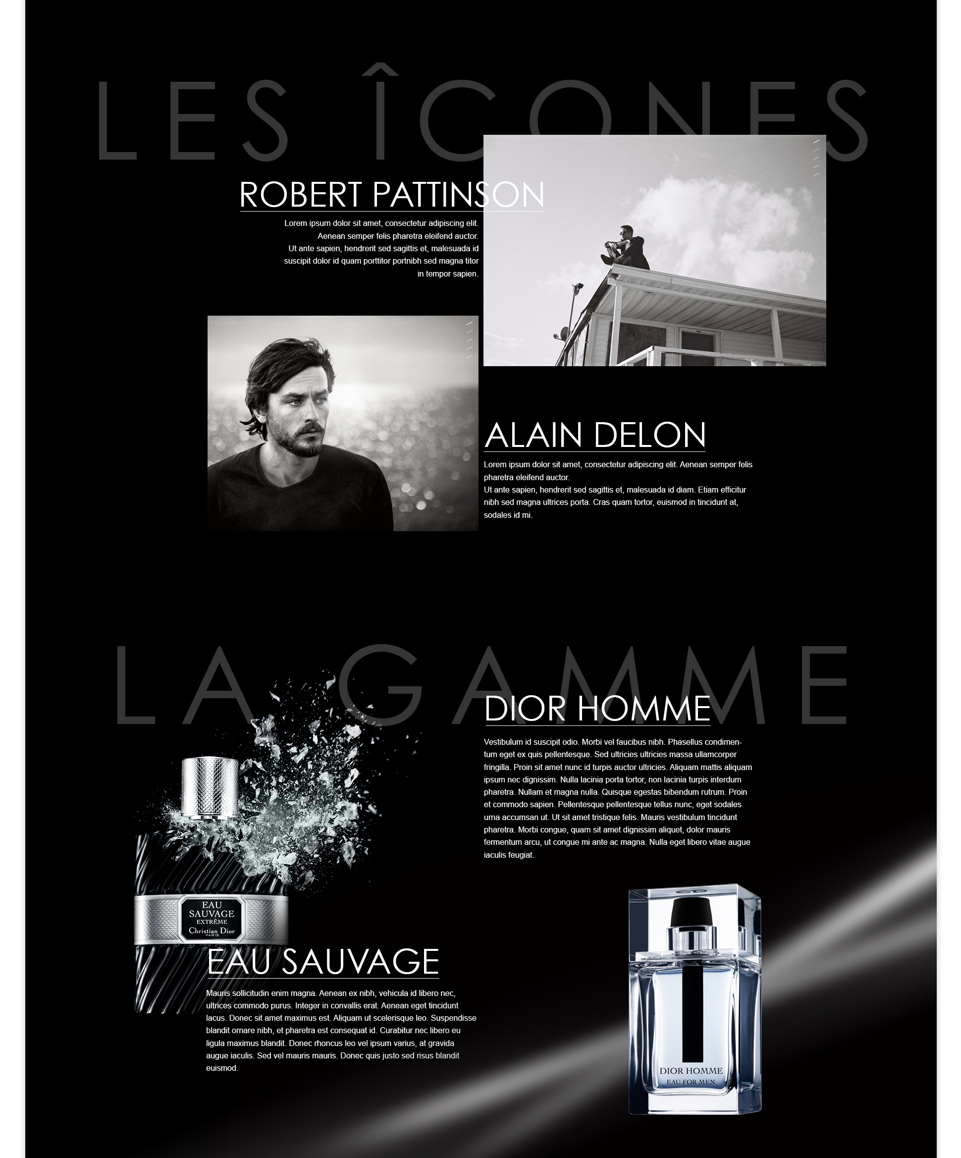 Diorhomme10colnoir_02